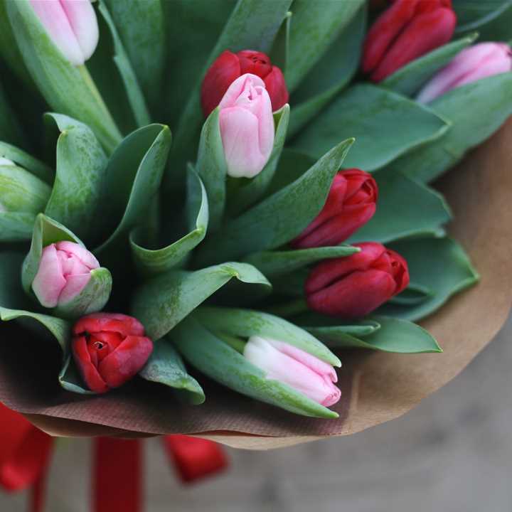 Valentine's Tulip Bunch