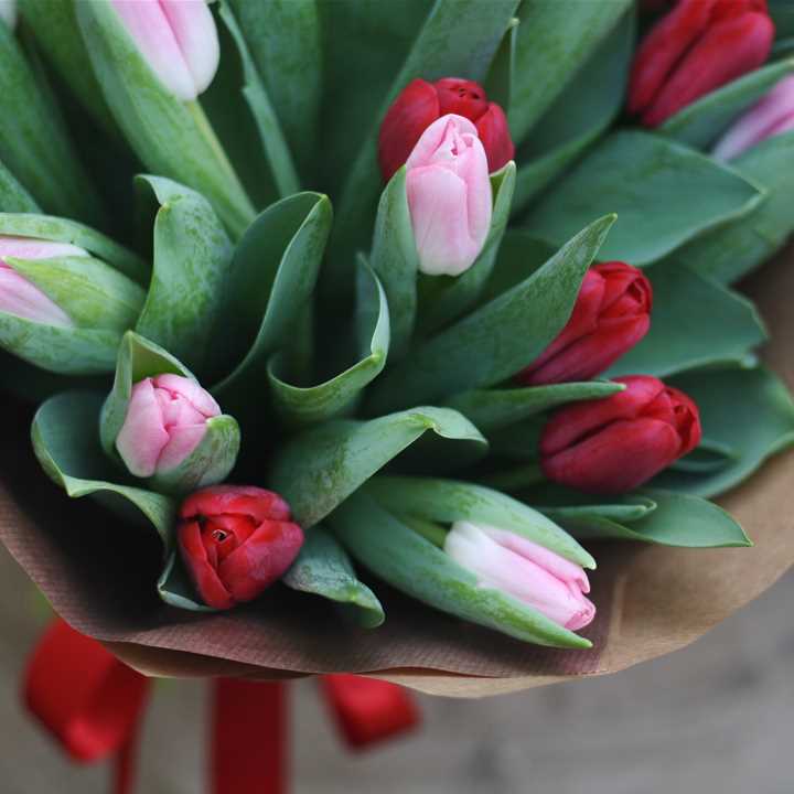 St Dwynwen’s Tulip Bunch